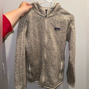 Patagonia Better Sweater Hoody